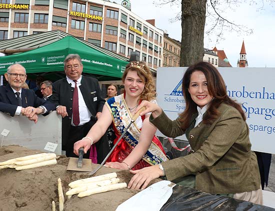 Spargelanstich mit Ministerin Michaela Kaniber und der Schrobenhausener Spargelkönigin Lena I  auf dem Münchner Viktualienmarkt (©Foto: Martin Schmitz)